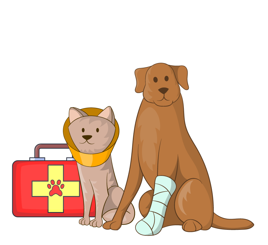 Homepage Illustration